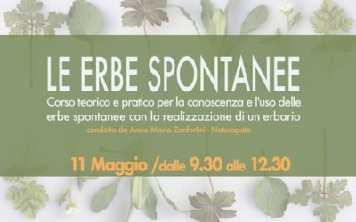 Corso teorico e pratico “Le erbe spontanee”